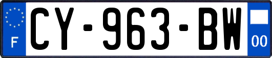 CY-963-BW