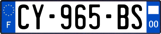 CY-965-BS