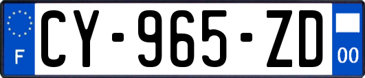 CY-965-ZD