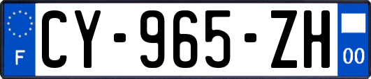 CY-965-ZH