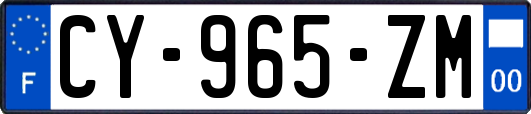 CY-965-ZM