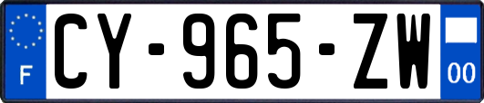 CY-965-ZW