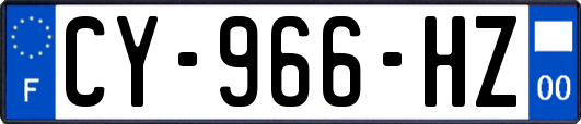 CY-966-HZ