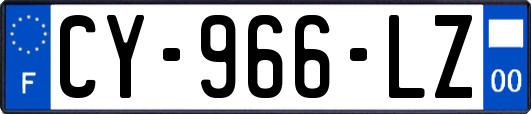 CY-966-LZ