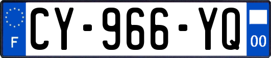 CY-966-YQ