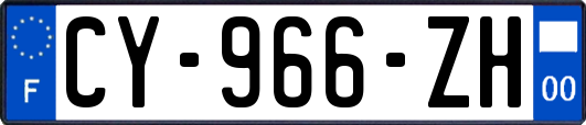 CY-966-ZH