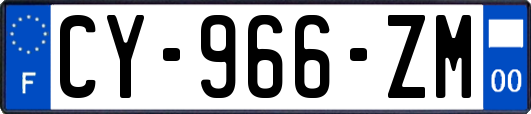 CY-966-ZM