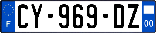 CY-969-DZ