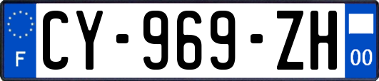 CY-969-ZH