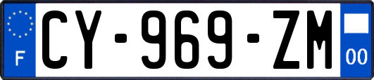 CY-969-ZM