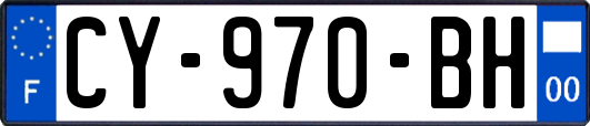 CY-970-BH
