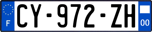 CY-972-ZH