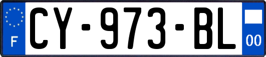 CY-973-BL