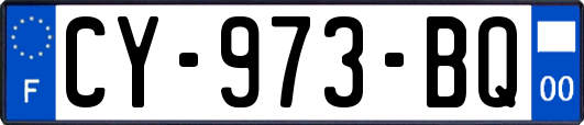 CY-973-BQ
