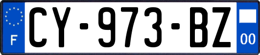 CY-973-BZ