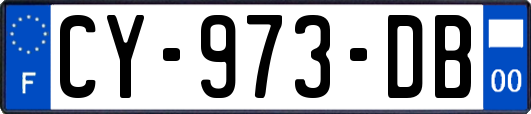 CY-973-DB
