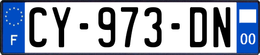 CY-973-DN