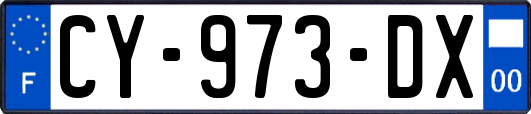CY-973-DX