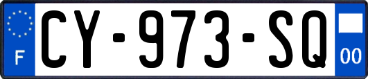 CY-973-SQ