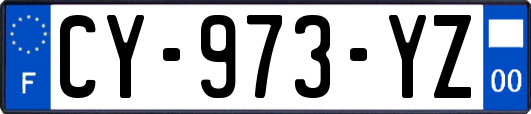 CY-973-YZ
