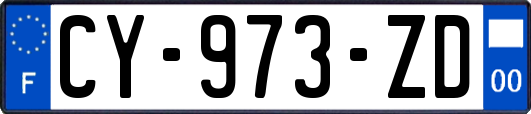 CY-973-ZD