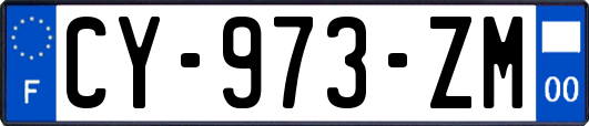 CY-973-ZM
