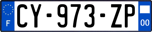 CY-973-ZP