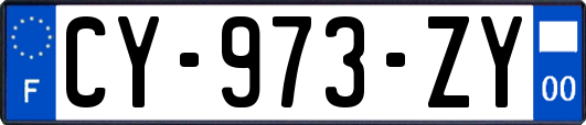 CY-973-ZY