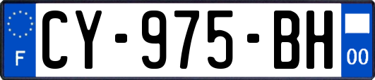 CY-975-BH