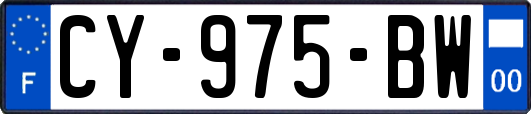 CY-975-BW