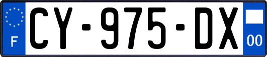 CY-975-DX