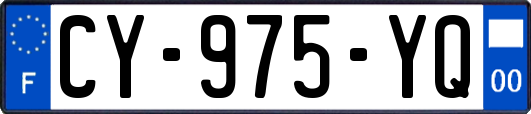 CY-975-YQ