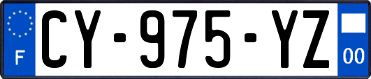 CY-975-YZ