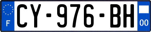 CY-976-BH