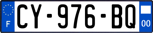 CY-976-BQ
