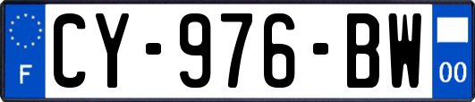 CY-976-BW