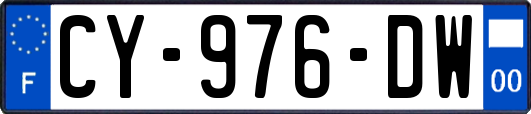 CY-976-DW