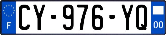 CY-976-YQ