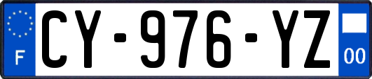 CY-976-YZ