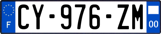 CY-976-ZM