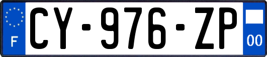 CY-976-ZP