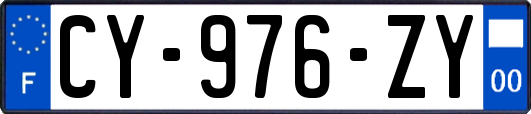CY-976-ZY