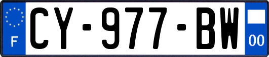 CY-977-BW