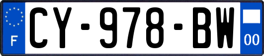 CY-978-BW