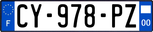 CY-978-PZ