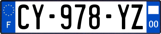 CY-978-YZ