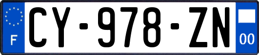 CY-978-ZN