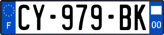 CY-979-BK