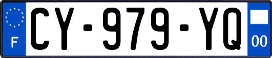 CY-979-YQ