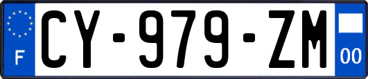 CY-979-ZM